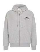 Ls Premium Terry Calvin Collegia Grey Calvin Klein Jeans
