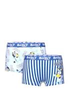 Boxer Blue Bluey