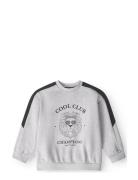 Alexander Sweatshirt Grey That's Mine