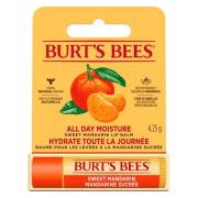 Burt's Bees Lip Balm Sweet Mandarin Blister 4,25 g