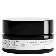 Laponie of Scandinavia Cleansing & Balancing Face Mask 32 g