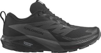 Salomon Women's Sense Ride 5 GORE-TEX Black/Magnet/Black