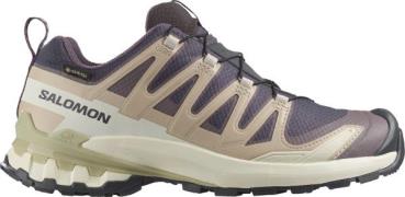 Salomon Women's XA Pro 3d V9 GORE-TEX Nine Iron/oxford Tan/alfalfa