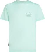 Icebreaker Men's Merino 125 Cool-Lite Sphere Shortsleeve Tee Explor Mi...