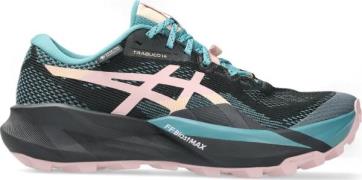 Asics Women's Trabuco 14 GORE-TEX Black/Morganite