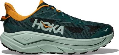 Hoka Men's Challenger 8 Bay Leaf/Sage