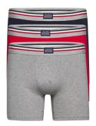 Boxer Trunk 3-P Bokserit Grey Jockey