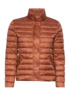 Light Down Jacket Vuorillinen Takki Topattu Takki Brown GANT