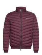 Down Jackets Vuorillinen Takki Topattu Takki Burgundy Armani Exchange