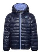 Levi's® Sherpa Lined Puffer Jacket Toppatakki Blue Levi's