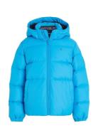 Essential Down Jacket Toppatakki Blue Tommy Hilfiger