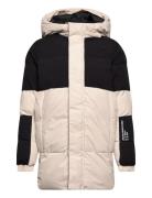 Jjeforce Puffer Sn Jnr Toppatakki Grey Jack & J S