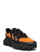 Ozweego Shoes Matalavartiset Sneakerit Tennarit Orange Adidas Original...