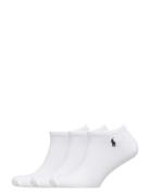 Low-Cut Sock 3-Pack Nilkkasukat Lyhytvartiset Sukat White Polo Ralph L...