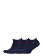 Low-Cut Cotton Sock 3-Pack Nilkkasukat Lyhytvartiset Sukat Blue Polo R...