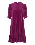 Marion Dress Polvipituinen Mekko Purple ODD MOLLY