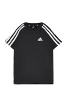 Lk 3S Co Tee Sport T-shirts Short-sleeved Black Adidas Sportswear
