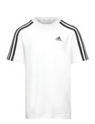 U 3S Tee Sport T-shirts Short-sleeved White Adidas Sportswear