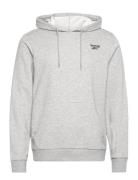 Ri Ft Left Chest Oth Sport Sweat-shirts & Hoodies Hoodies Grey Reebok ...