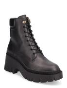 Ainsely Leather Shoes Boots Ankle Boots Laced Boots Black Coach