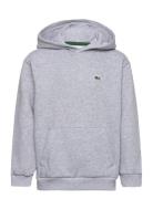 Sweatshirts Sport Sweat-shirts & Hoodies Hoodies Grey Lacoste