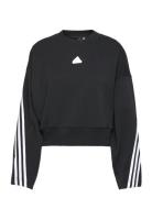 Future Icons 3-Stripes Sweatshirt Sport Sweat-shirts & Hoodies Sweat-s...