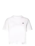 Oakport Boxy Ss Tee Tops T-shirts & Tops Short-sleeved White Dickies