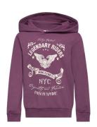 Nkmvugo Ls Sweat Wh Bru O1 Tops Sweat-shirts & Hoodies Hoodies Purple ...