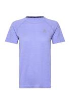 Odlo T-Shirt Crew Neck S/S Essential Seamless Sport T-shirts & Tops Sh...