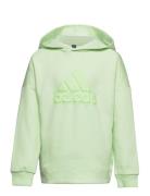 U Fi Logo Hd Sport Sweat-shirts & Hoodies Hoodies Green Adidas Perform...