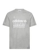 Grf Tee Sport T-shirts Short-sleeved Grey Adidas Originals