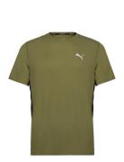 Run Favorite Velocity Tee Sport T-shirts Short-sleeved Khaki Green PUM...