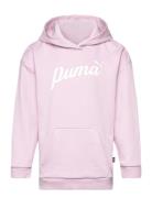 Ess+ Script Hoodie Tr G Sport Sweat-shirts & Hoodies Hoodies Pink PUMA