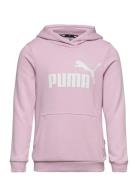 Ess Logo Hoodie Tr G Sport Sweat-shirts & Hoodies Hoodies Pink PUMA