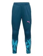 Individualfinal Training Pants Jr Sport Sweatpants Blue PUMA