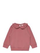 Nmftami Sweat Bru Box Tops Sweat-shirts & Hoodies Sweat-shirts Pink Na...