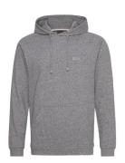 Premium Hoodie Tops Sweat-shirts & Hoodies Hoodies Grey BOSS