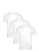 Bs Antiqua Regular Fit T-Shirt Tops T-shirts Short-sleeved White Bruun...