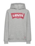 Levi's® Screenprint Batwing Pullover Hoodie Tops Sweat-shirts & Hoodie...