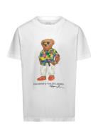 Polo Bear & Big Pony Cotton Tee Tops T-shirts Short-sleeved White Ralp...