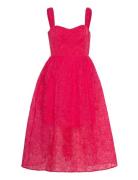 Embroidered Lace Strappy Dress Polvipituinen Mekko Pink French Connect...