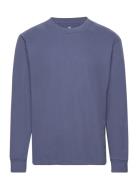 Hco. Guys Knits Tops T-shirts Long-sleeved Blue Hollister