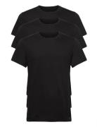 S/S Crew Neck 3Pk Tops T-shirts Short-sleeved Black Calvin Klein