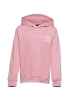 Hmlproud Hoodie Sport Sweat-shirts & Hoodies Hoodies Pink Hummel