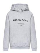 Borg Logo Hoodie Tops Sweat-shirts & Hoodies Hoodies Grey Björn Borg
