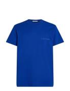 Institutional Tee Tops T-shirts Short-sleeved Blue Calvin Klein Jeans