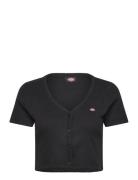 Emporia Cardigan Ss W Tops T-shirts & Tops Short-sleeved Black Dickies