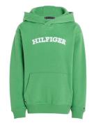Hilfiger Arched Hoodie Tops Sweat-shirts & Hoodies Hoodies Green Tommy...