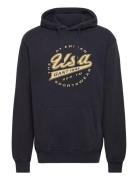 Gant Usa Hoodie Tops Sweat-shirts & Hoodies Hoodies Blue GANT