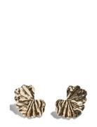 Pckrill M Earrings Accessories Jewellery Earrings Studs Gold Pieces